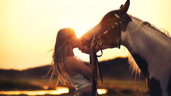 生肖属性不同的属相配对,十二生肖五行最佳配对表格