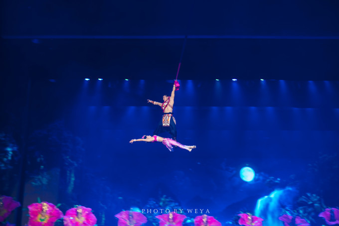 面面旅拍—诉不完千古泪，道不停三亚情，这个冬天我们掌心有太阳