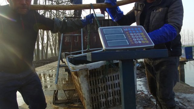 谁说农村不如城里,谁说农村生活不如城里