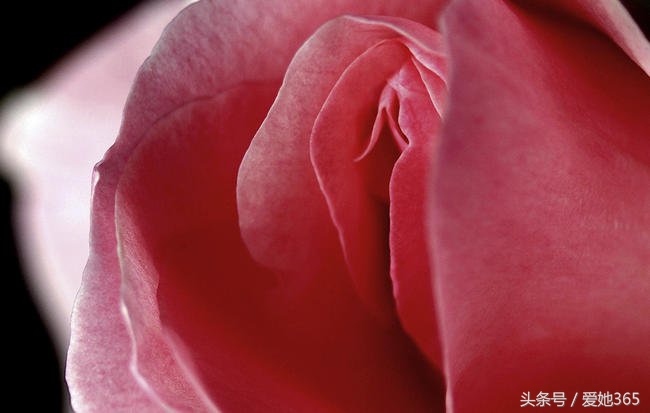 产后妈妈会出现骨盆前移吗,产后妈妈骨盆会有什么变化