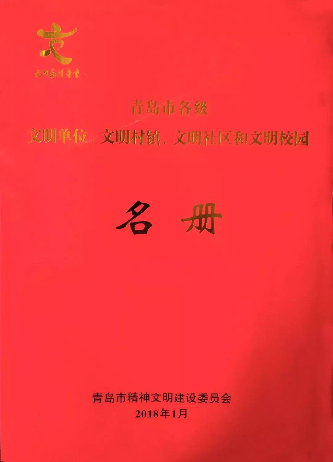 青岛艺校文明风采大赛,青岛文明学校合格名单