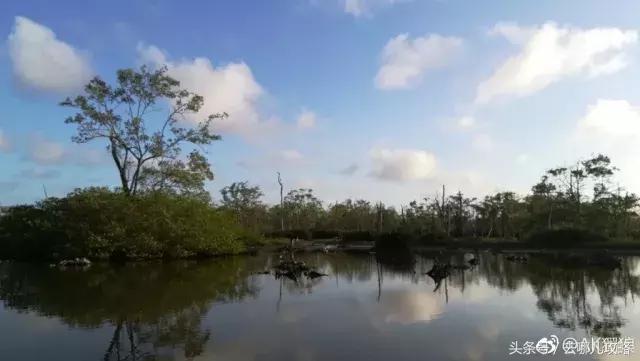 免签国家一览表最新,2023最新免签国家