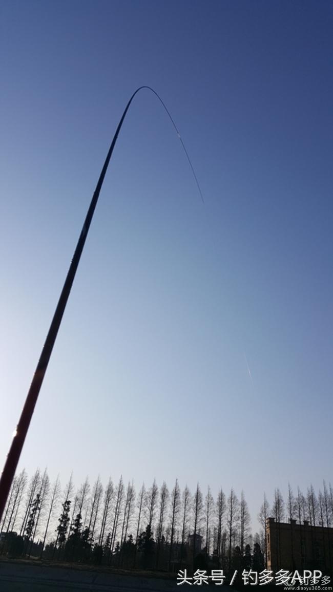 台钓竿双钩,台钓双钩沉底