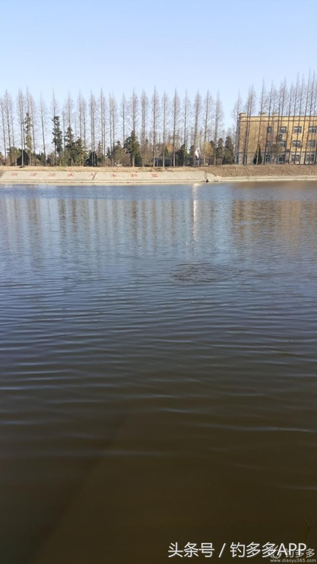 台钓竿双钩,台钓双钩沉底