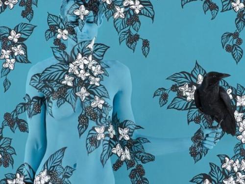 如果可以你最想做什么职业,如果不考虑一切最想从事什么职业