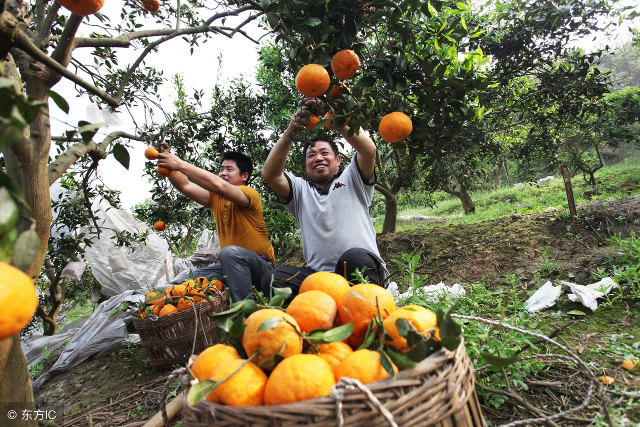 天津家庭农场申请条件和注册流程,个体工商户注册家庭农场申请条件