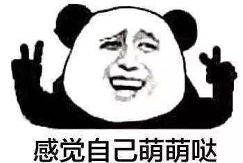 上海17号线到东方明珠,上海17号线东方绿舟