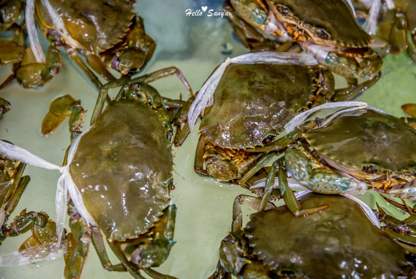 吃货们的福利，春节来三亚，墙裂推荐的特色美食全攻略
