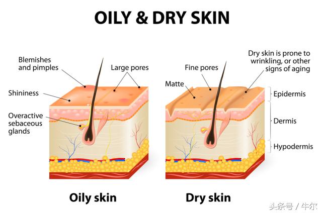 改善皮肤干燥毛孔粗大的方法,如何改善肌肤暗沉毛孔粗大的方法
