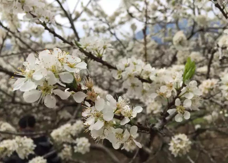 国内风景最好的旅游景点冬天,国内各地最美的十大自驾游线路