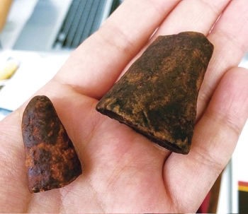 人工制造的犀角和象牙能否成为保护犀牛大象的新希望？