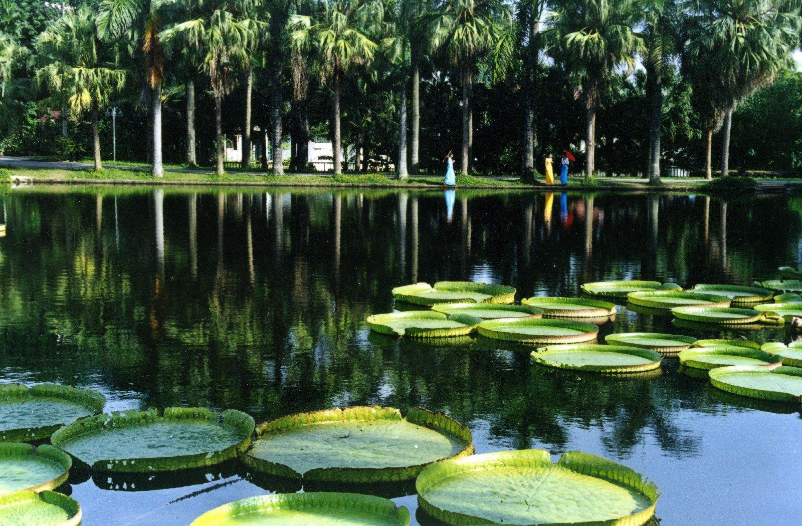 带你去看云南的西双版纳,云南到底有多滇