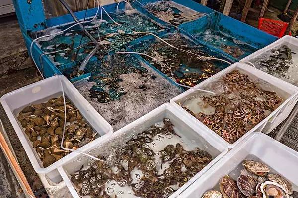 一位老沈阳人在沈阳几十年的精心总结，逛街、就医......详细到令人发指！