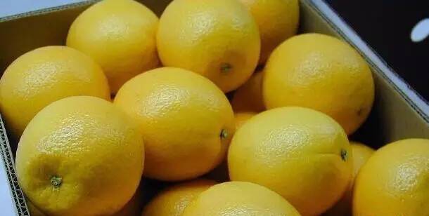 正宗清远连州水晶梨,广东清远连州的水晶梨