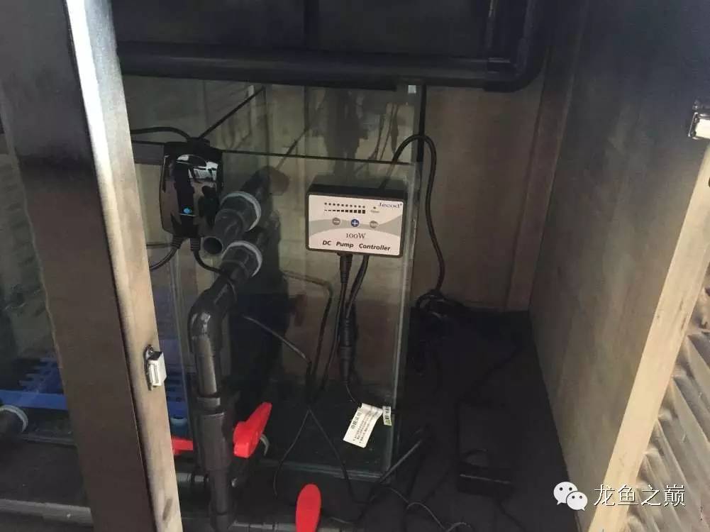 开启人生第二个阶段,开启人生中的第三年