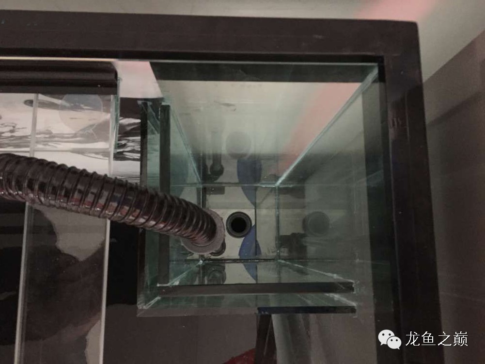 开启人生第二个阶段,开启人生中的第三年