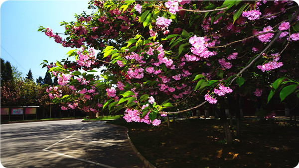 俞敏洪谈大学生为什么要读书,俞敏洪在学校