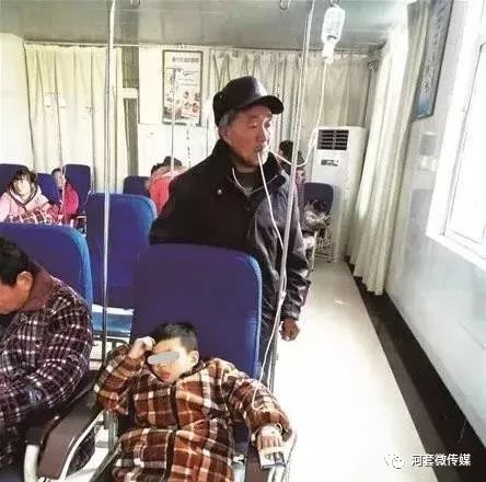 鸿雁知天下简介,鸿雁知天下