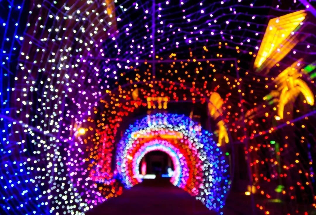 近期大连有什么活动,大连九月份有什么活动