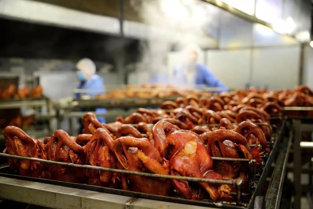 快鱼吃慢鱼大鱼吃小鱼法则,快鱼吃慢鱼下一句