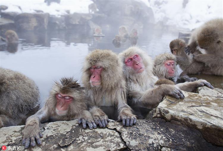 收藏！没泡过这些温泉的人生是不完整的！