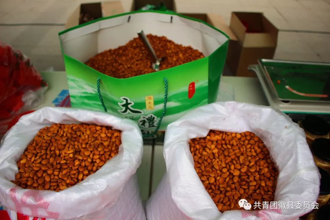 惠民电商年货节,荣县电商直播年货节