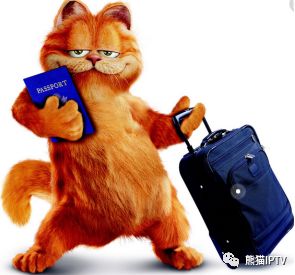 旅行青蛙和熊猫旅行,旅行青蛙大熊猫