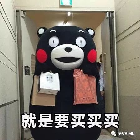 鹤壁买房新政策最新消息,鹤壁市2024年哪个小区的房最好