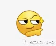 生肖是从大年初一开始算吗,生肖是从立春开始算还是初一