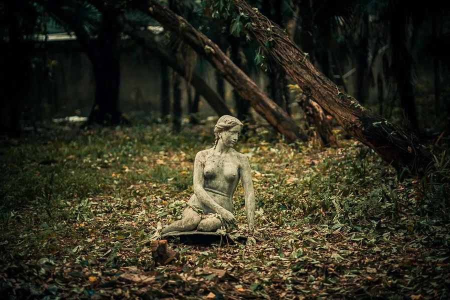 土著带你游东京,土著带你游重庆