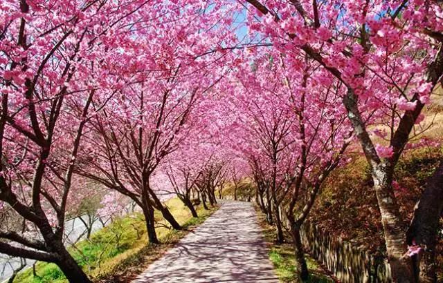 国内2月最美旅行地大推荐,风景线一路美到底(内附游玩线路)!