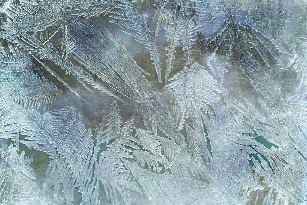 风霜雪雨后风采依旧诗句,经历风霜雪雨的诗句