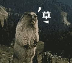 代购被骗的真实感受,做代购那些离谱事件