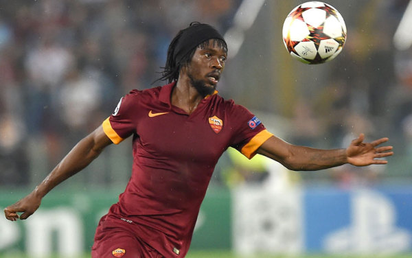 盘点史上最强大的十种鸟,盘点世界十大鸟类之最