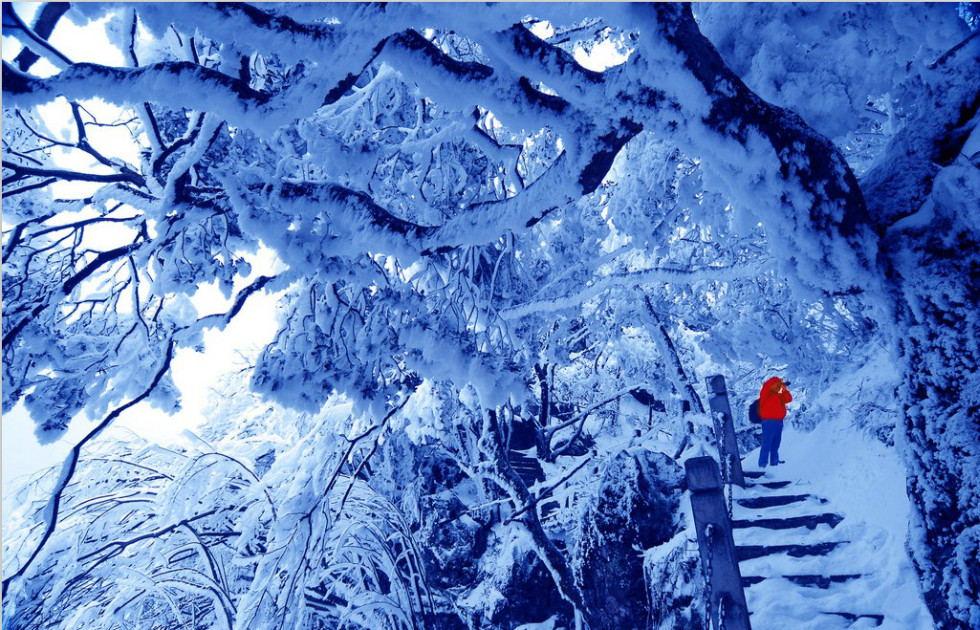 重庆这座城市很迷人,重庆主城周边哪个山最高