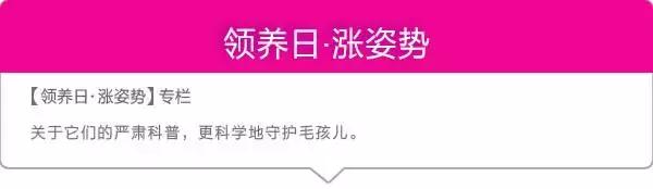 狗怕爆竹,狗为啥不怕炮竹