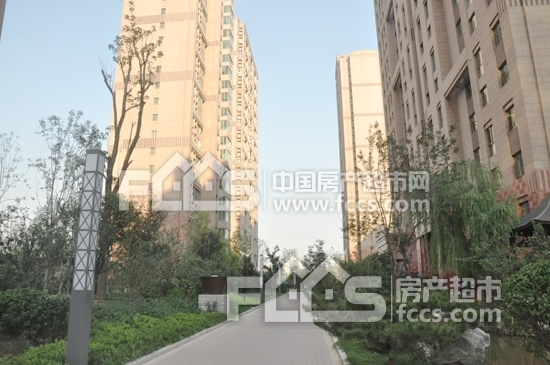 齐润实验小学,淄博齐润实验小学新消息