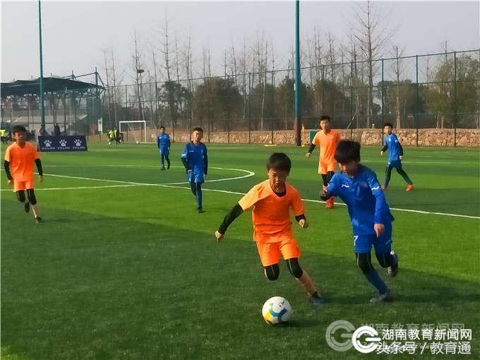 赫山二小与紫竹小学足球联赛,赫山小学足球联赛