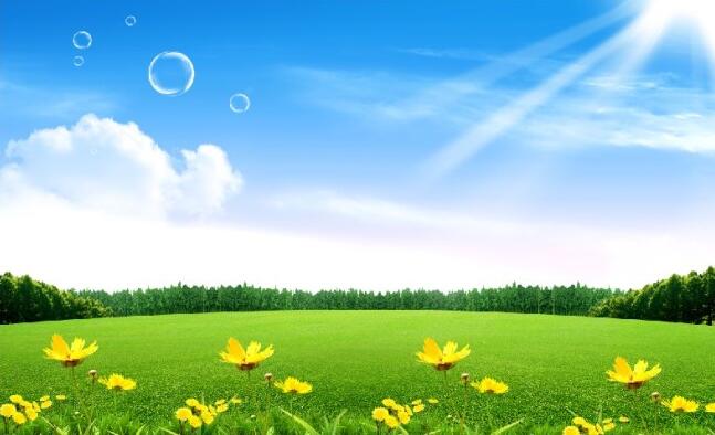 哥哥往生极乐常常回来探望