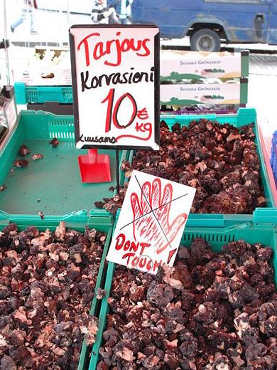 世界上最可怕的蘑菇形状,世界上最可怕的蘑菇排名