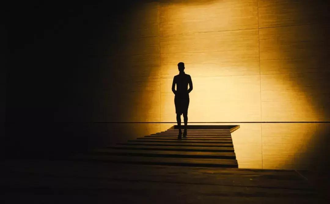 奥斯卡2023最佳摄影提名,2022奥斯卡最佳摄影奖的电影