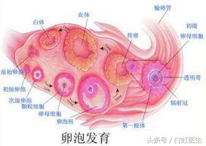 超过五十天不来月经是更年期吗,44岁月经不来是不是更年期症状