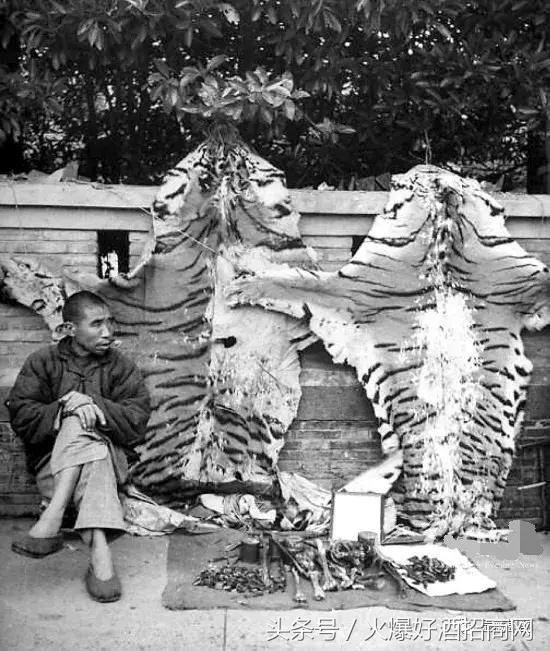 酒实酒馆,宫廷玉液酒为什么这么流行