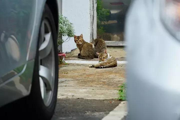 e-mount索尼,emount镜头焦段