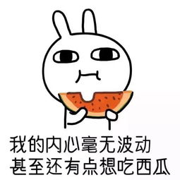 快播王欣重出江湖了吗,快播王欣现在的处境