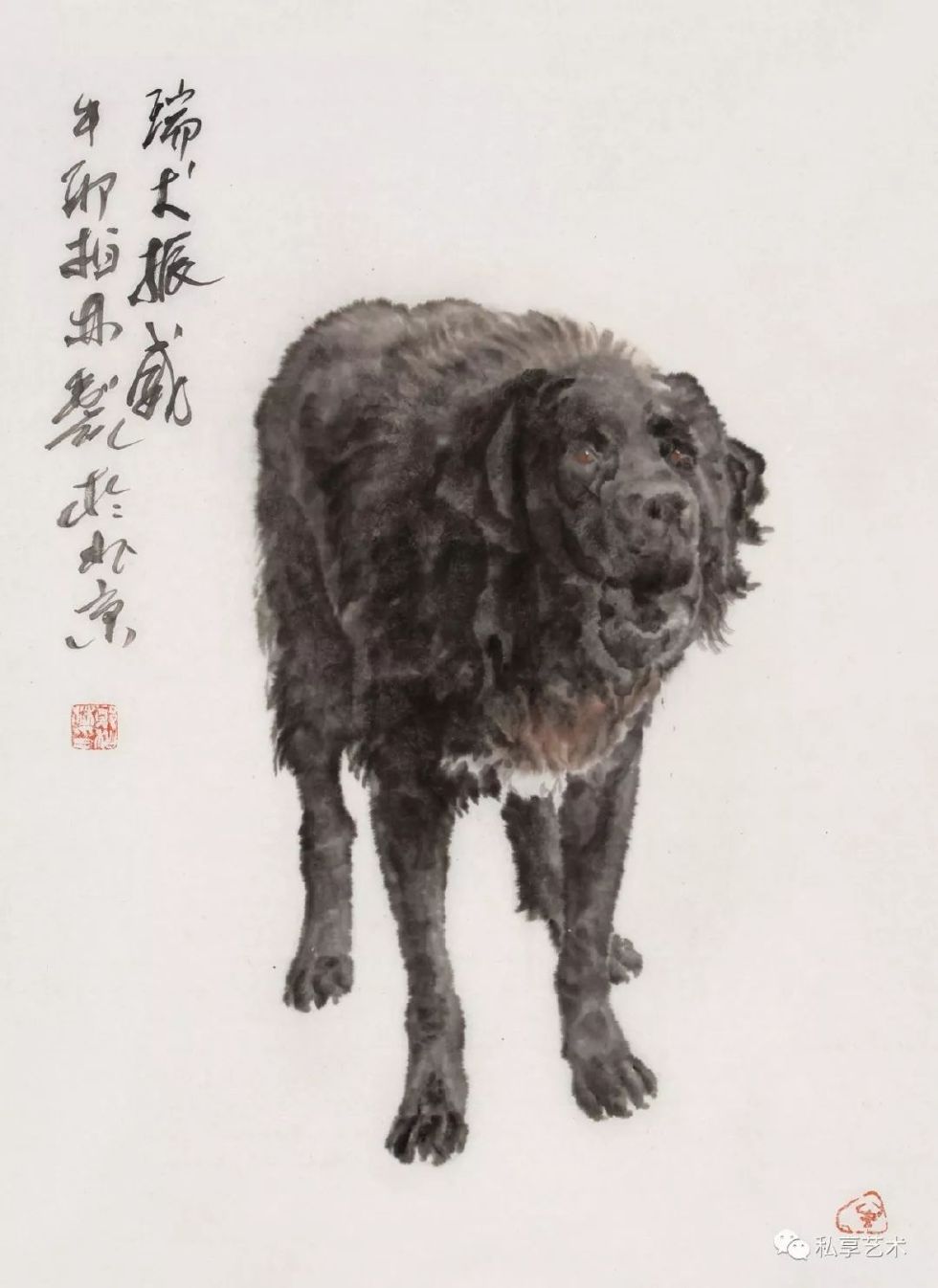 瑞犬迎春视频完整版,瑞犬迎春