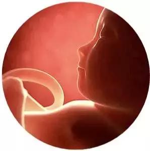 胎动，宝宝的悄悄话你听懂了吗？