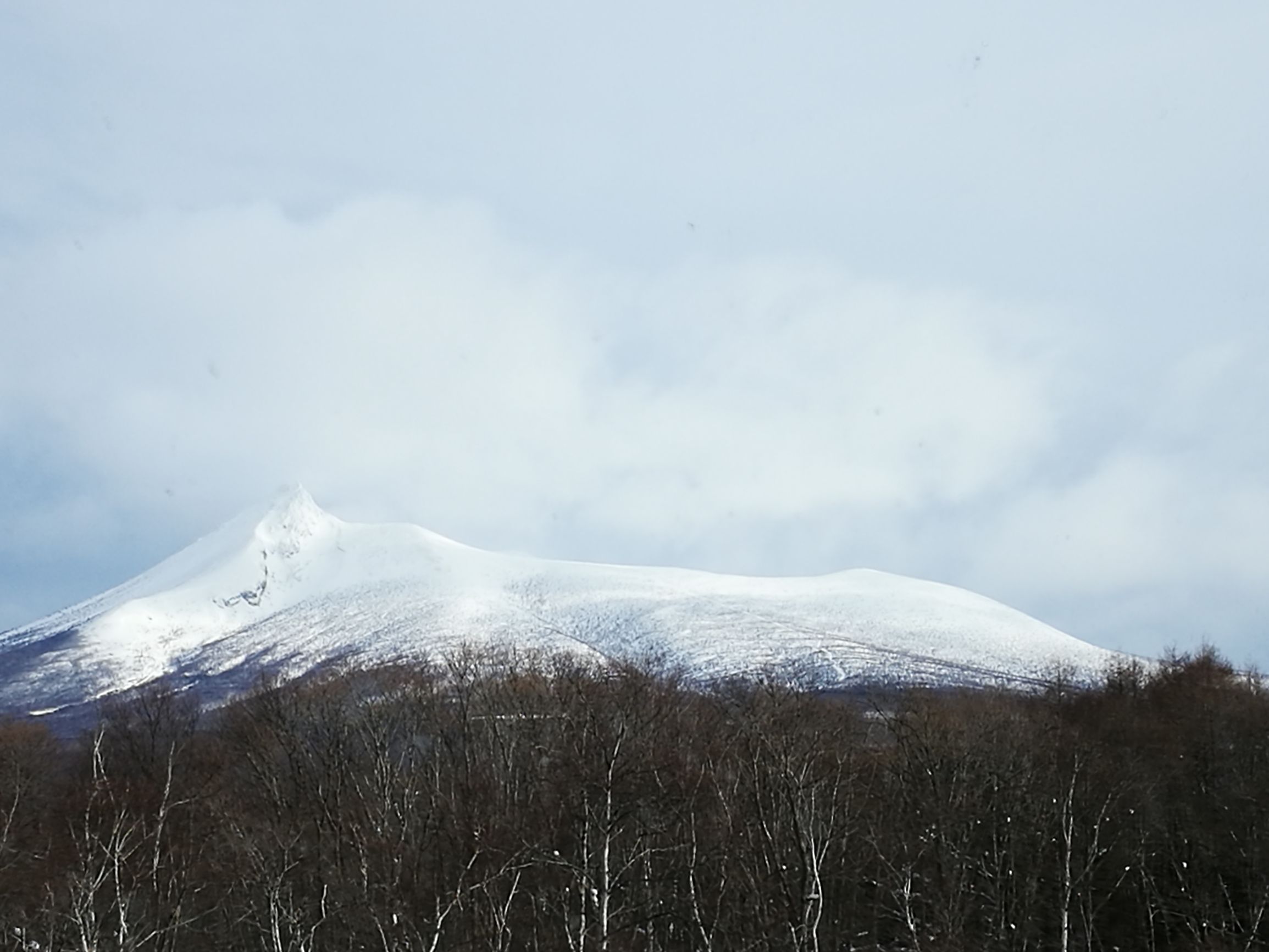日本小樽旅游攻略,札幌小樽登别函馆路川的旅游顺序