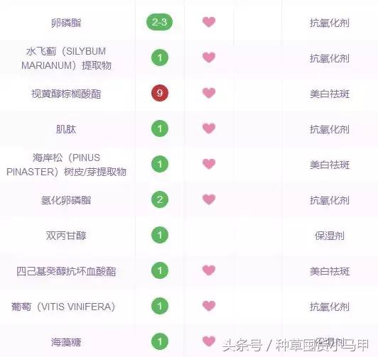 十大网红精华测评,网红精华必买产品