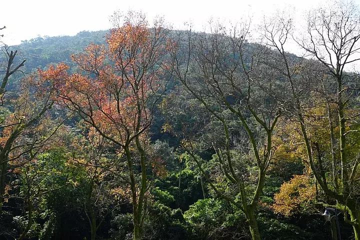 e-mount索尼,emount镜头焦段